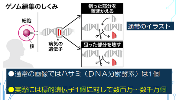 ゲノム編集の仕組み