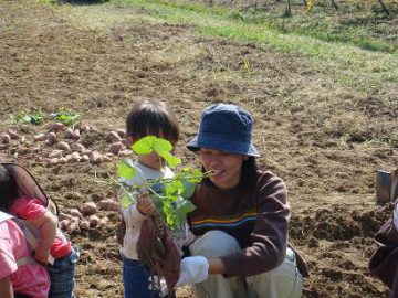 秋満喫！野菜の収穫に行こう！