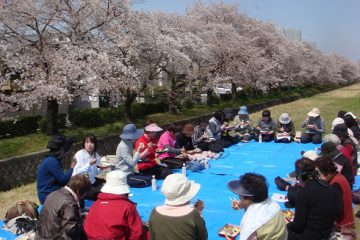 体操の皆で花見♪