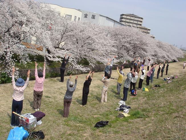 お花見♪