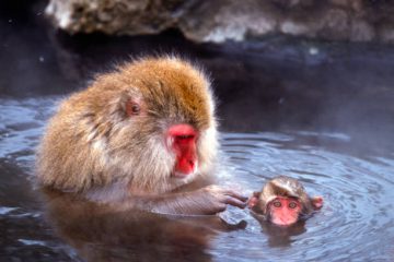 「冷えは万病の元」では、温めると…？