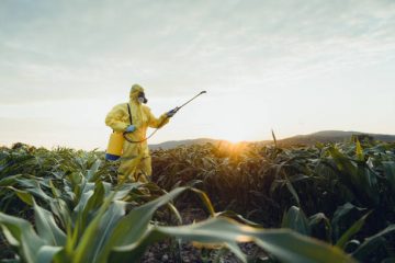 遺伝子組換え食品には発ガン性物質がいっぱい？