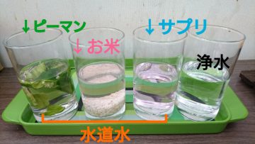 学習会員制度