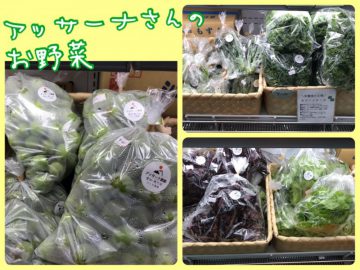 アッサーナ農園のお野菜